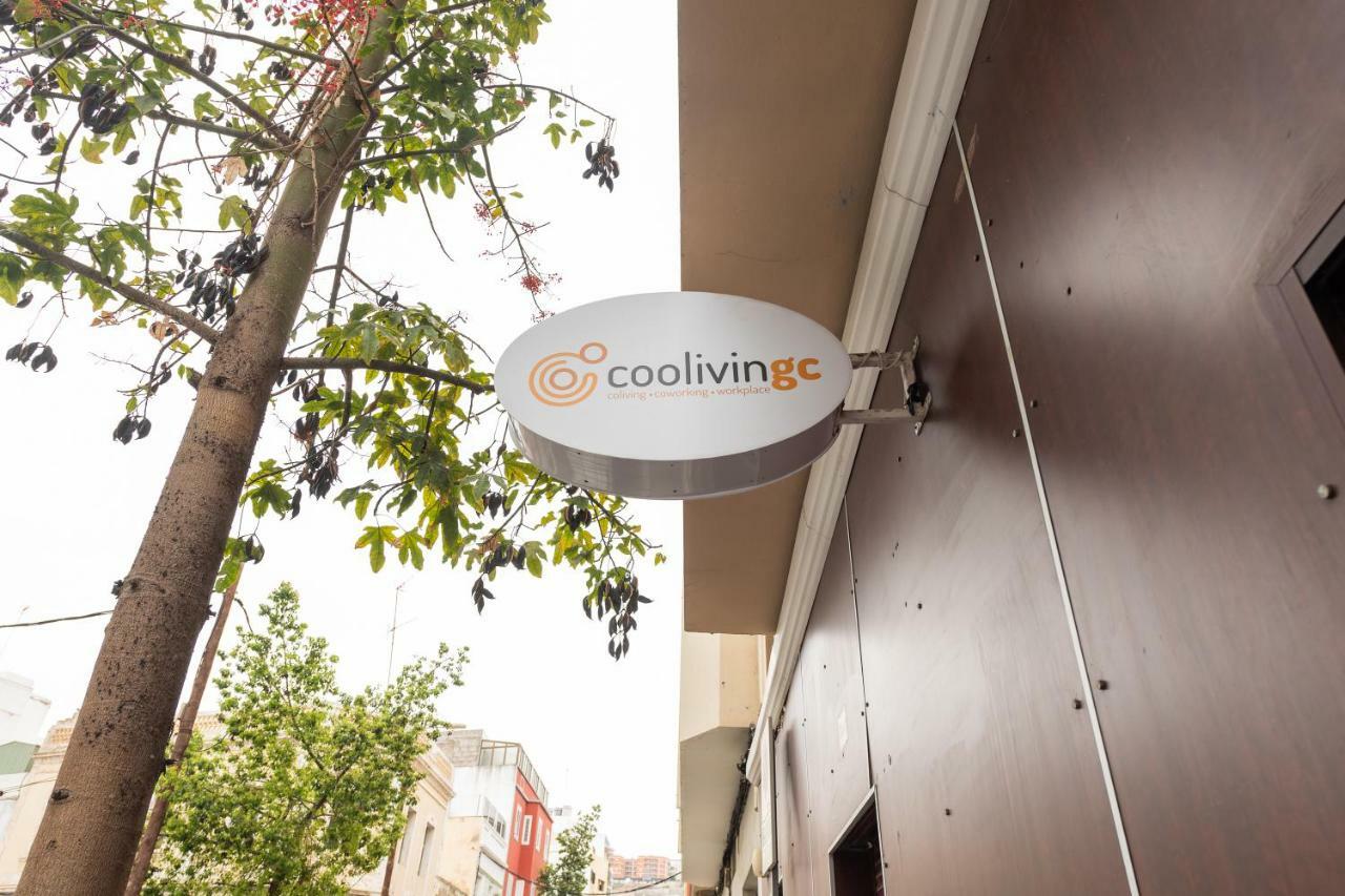 Coolivingc Las Palmas de Gran Canaria